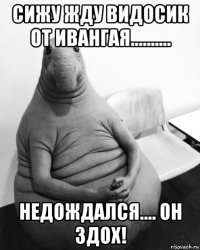 сижу жду видосик от ивангая.......... недождался.... он здох!