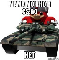 мама можно в cs:go нет