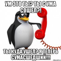 ум это ты? ты с ума сошел?! ты куда ушел? я теперь сумасшедший!!!