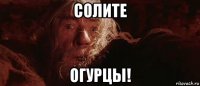 солите огурцы!