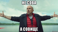 не сова а совище