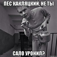 пёс какляцкий, не ты сало уронил?