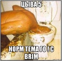 цыва 5 норм тема го ! c brim