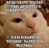 когда говорят про тебя: "чувак, да ты просто психанул, че сказать -_-" я-я не психанул, я "котсанул", ты просто не мыслишь!