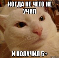 когда не чего не учил и получил 5+