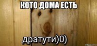 кото дома есть 