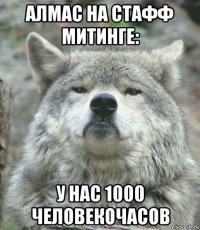 алмас на стафф митинге: у нас 1000 человекочасов