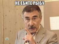 не ебите рыбу 