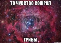 то чувство сожрал грибы