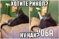 хотите рикол? ну как?