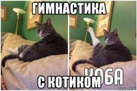 гимнастика с котиком