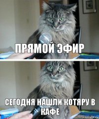 прямой эфир сегодня нашли котяру в кафе