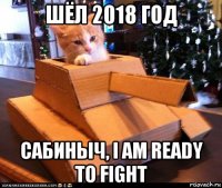 шёл 2018 год сабиныч, i am ready to fight