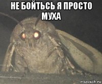 не бойтьсь я просто муха 