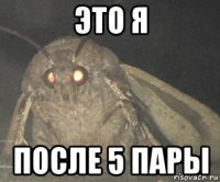 это я после 5 пары