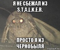 я не сбежал из s.t.a.l.k.e.r. просто я из чернобыля