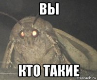 вы кто такие