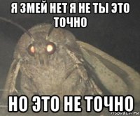 я змей нет я не ты это точно но это не точно