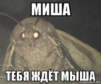 миша тебя ждёт мыша