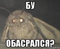 бу обасрался?