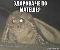 здорова че по матеше? 