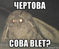 чертова сова blet?