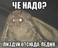 че надо? пиздуй отсюда, педик