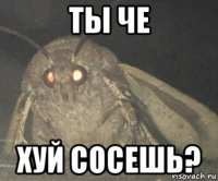 ты че хуй сосешь?