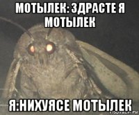 мотылек: здрасте я мотылек я:нихуясе мотылек