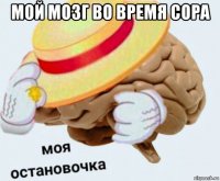 мой мозг во время сора 