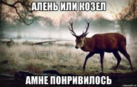 алень или козел амне понривилось