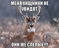 меня хищники не увидят они же слепые!!!