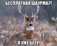 бесплатная шаурма?! я уже бегу!