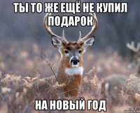 ты то же ещё не купил подарок на новый год