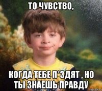 то чувство, когда тебе п*здят , но ты знаешь правду