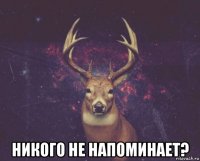  никого не напоминает?