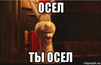 осел ты осел