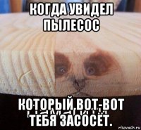 когда увидел пылесос который вот-вот тебя засосёт.