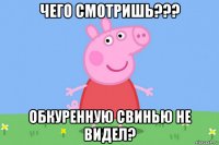 чего смотришь??? обкуренную свинью не видел?