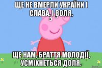 ще не вмерли україни і слава, і воля, ще нам, браття молодії, усміхнеться доля.