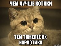 чем лучше котики тем тяжелее их наркотики