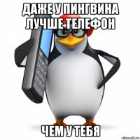 даже у пингвина лучше телефон чем у тебя