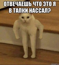 отвечаешь что это я в тапки нассал? 