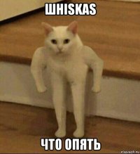 шhiskas что опять