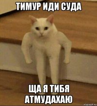 тимур иди суда ща я тибя атмудахаю