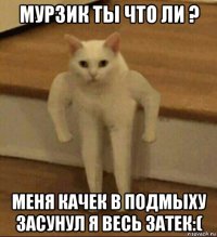 мурзик ты что ли ? меня качек в подмыху засунул я весь затек:(