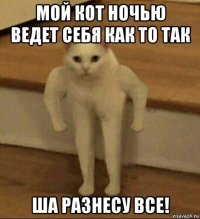 мой кот ночью ведет себя как то так ша разнесу все!