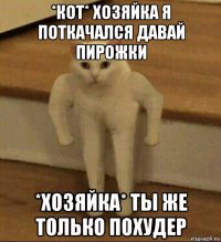 *кот* хозяйка я поткачался давай пирожки *хозяйка* ты же только похудер