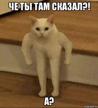 че ты там сказал?! а?