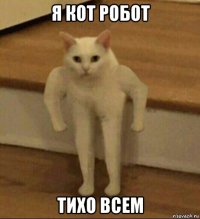 я кот робот тихо всем